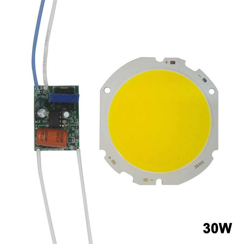 LED COB Lampe Perle 10 W-30 W Lichtquelle Chip Kalt/Warm Schalter Umwandlung mit Segment Control Power Adapter DIY Fahrer