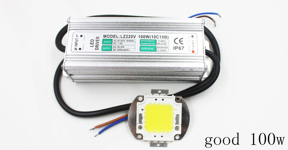 Echte volle Watt 10 W 20 W 30 W 50 W 100 W High Power COB LED Lampe Chips Birne mit LED-Treiber für DIY Flutlicht Spot Licht Rasen