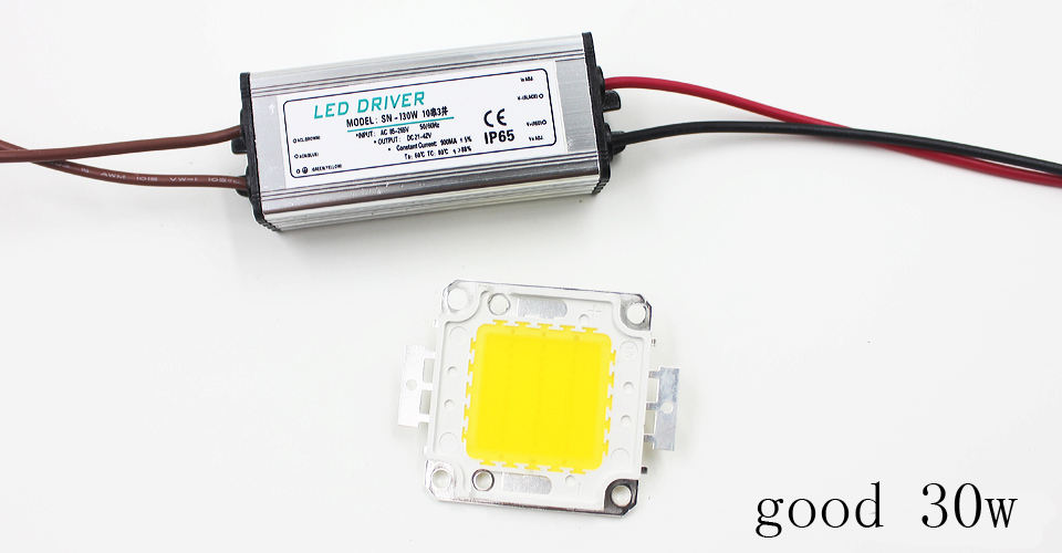 Echte volle Watt 10 W 20 W 30 W 50 W 100 W High Power COB LED Lampe Chips Birne mit LED-Treiber für DIY Flutlicht Spot Licht Rasen