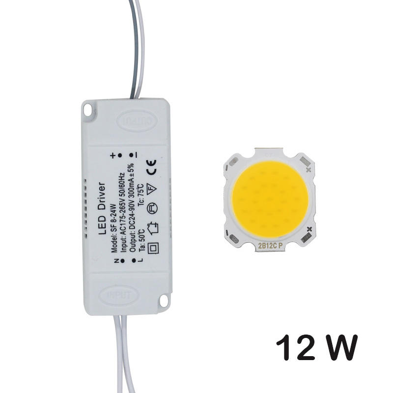 LED-COB-Lampenperle, 10 W-30 W, Lichtquellenchip + LED-Treiber, Netzteil, kalt/warm/natürliches Weiß für DIY-LED-Spotlicht