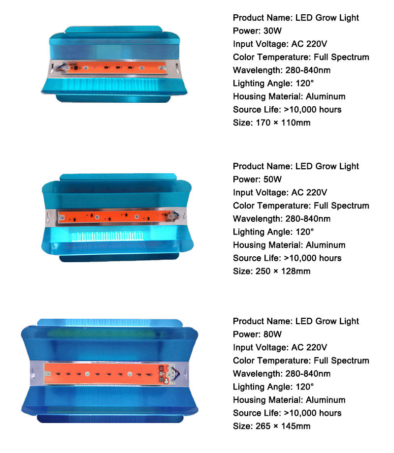 Le luci progressive a LED 20W 30W 50W 80W UV LED coltivano la luce a spettro completo AC110V / 220V / DC12V per la coltivazione indoor