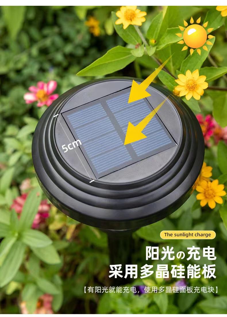 Lampe à gazon solaire