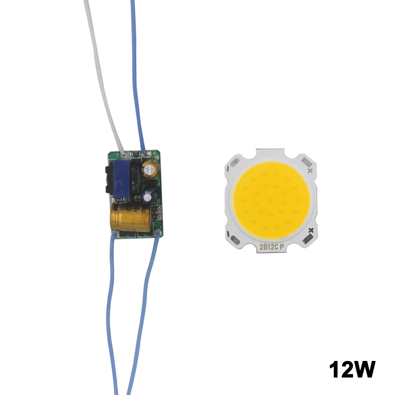 LED COB Lampe Perle 10 W-30 W Lichtquelle Chip Kalt/Warm Schalter Umwandlung mit Segment Control Power Adapter DIY Fahrer