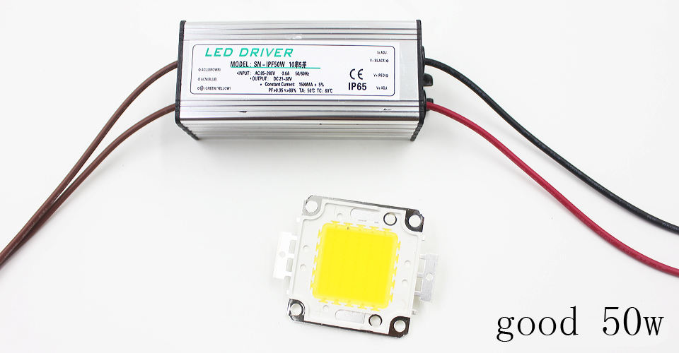 Echte volle Watt 10 W 20 W 30 W 50 W 100 W High Power COB LED Lampe Chips Birne mit LED-Treiber für DIY Flutlicht Spot Licht Rasen