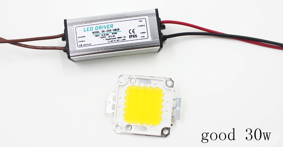 Echte volle Watt 10 W 20 W 30 W 50 W 100 W High Power COB LED Lampe Chips Birne mit LED-Treiber für DIY Flutlicht Spot Licht Rasen