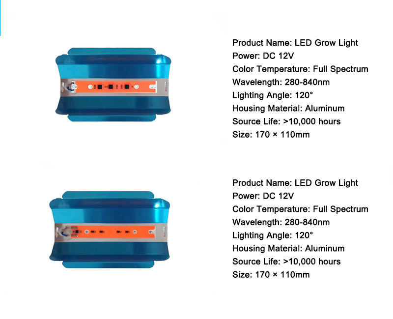 Le luci progressive a LED 20W 30W 50W 80W UV LED coltivano la luce a spettro completo AC110V / 220V / DC12V per la coltivazione indoor