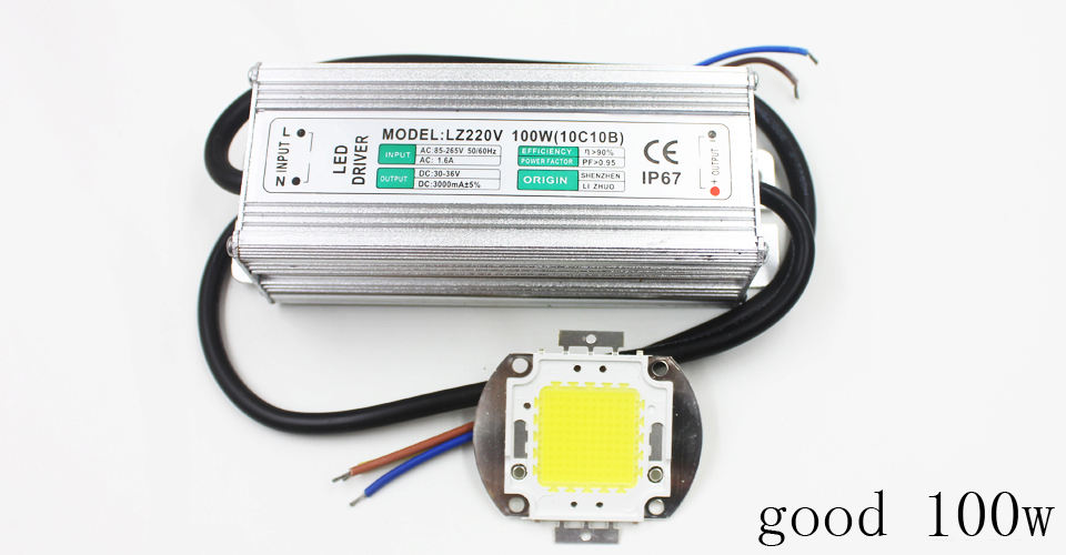 Echte volle Watt 10 W 20 W 30 W 50 W 100 W High Power COB LED Lampe Chips Birne mit LED-Treiber für DIY Flutlicht Spot Licht Rasen