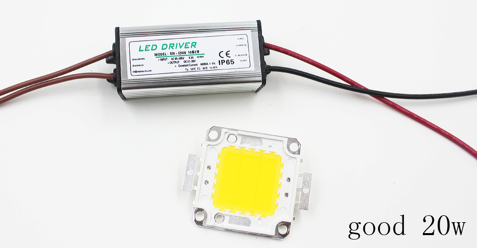 Echte volle Watt 10 W 20 W 30 W 50 W 100 W High Power COB LED Lampe Chips Birne mit LED-Treiber für DIY Flutlicht Spot Licht Rasen