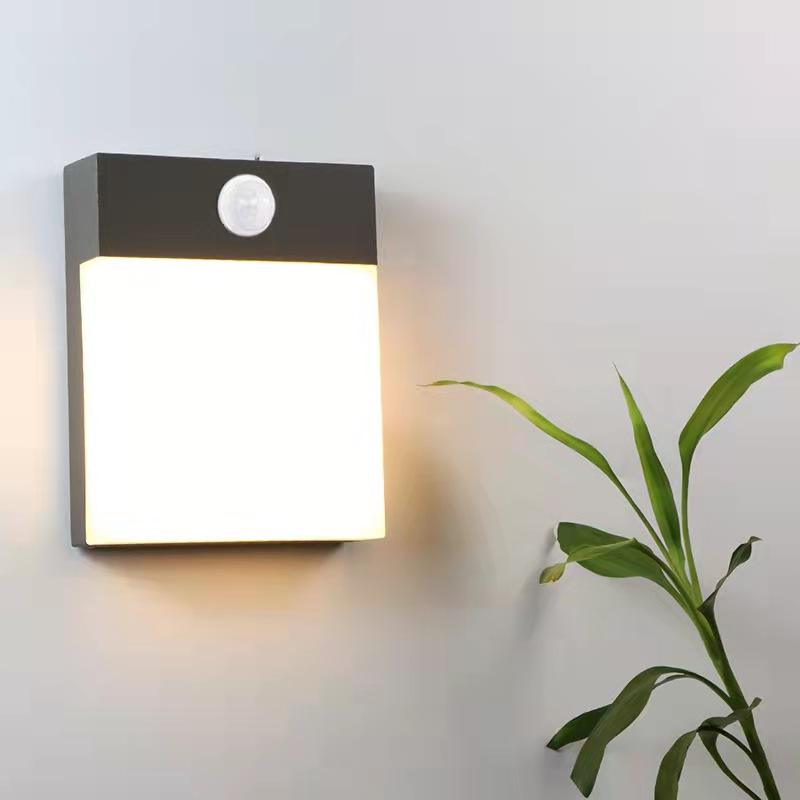 lumière extérieure solaire menée