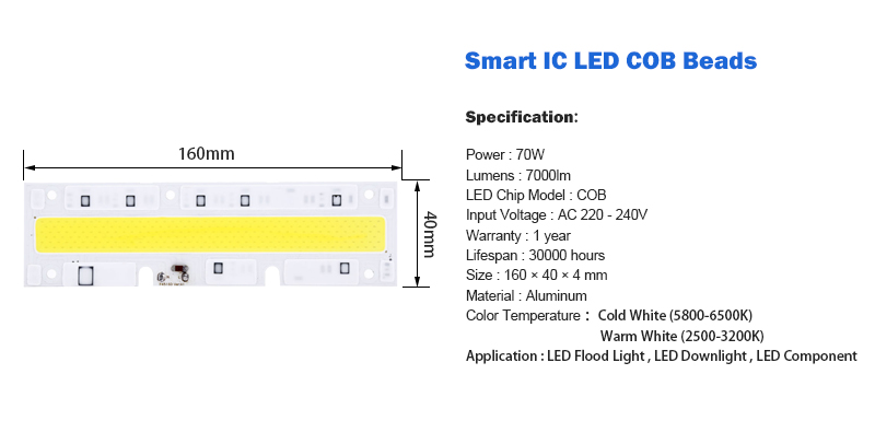 LED COB Licht Chip 30W 50W 70W 100W 150W LED Birne Chip 220V Eingang Smart IC LED Treiber für DIY LED Flutlicht